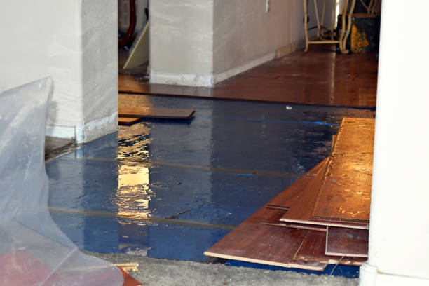 Professional Basement Flood Cleanup technician working in Wycombe, PA